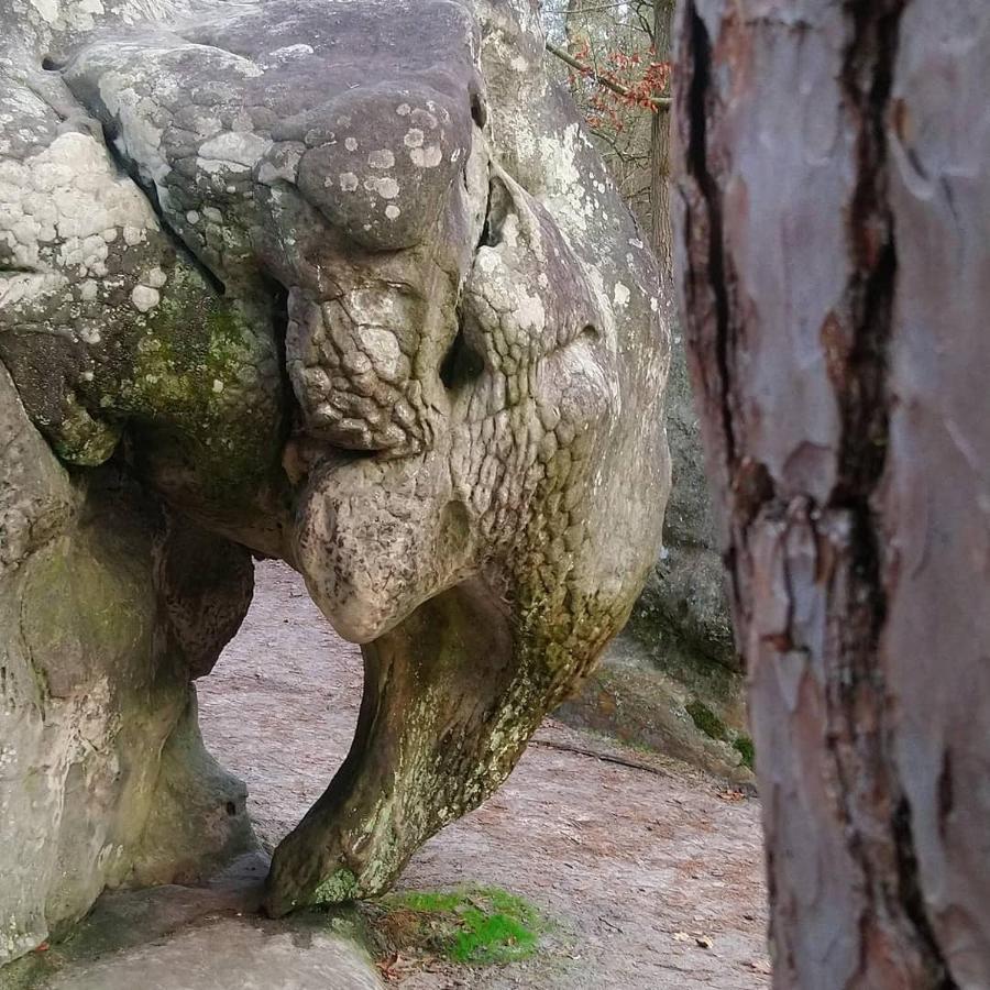 مبيت وإفطار La Bastide De باربيزو المظهر الخارجي الصورة
