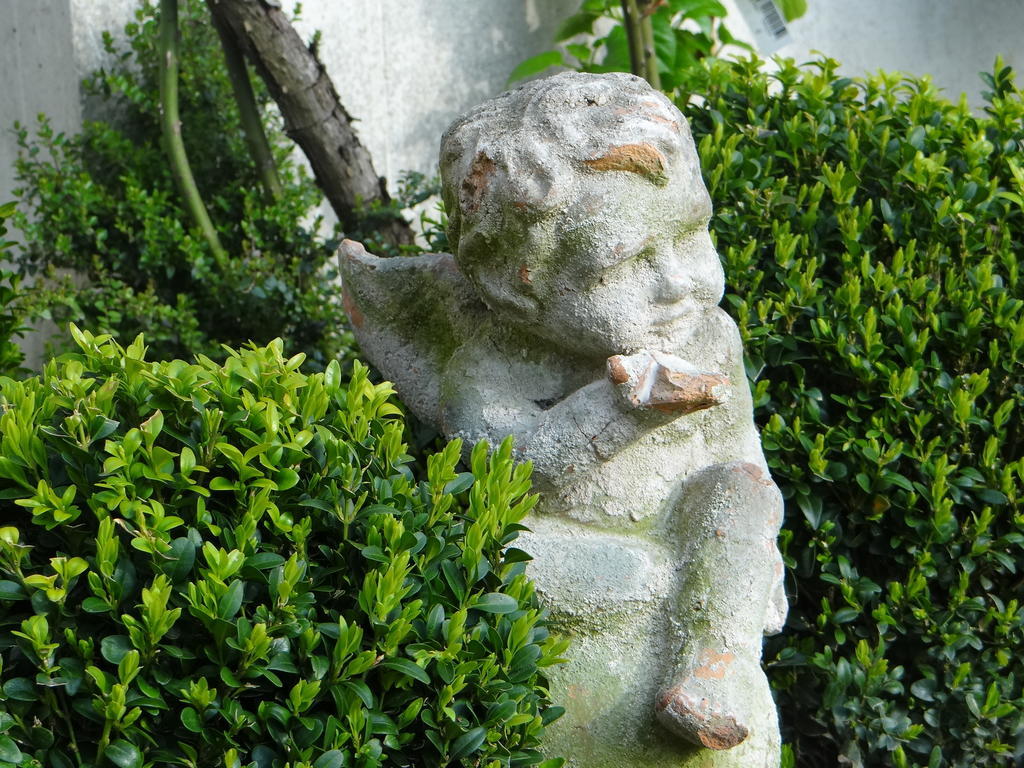 مبيت وإفطار La Bastide De باربيزو المظهر الخارجي الصورة